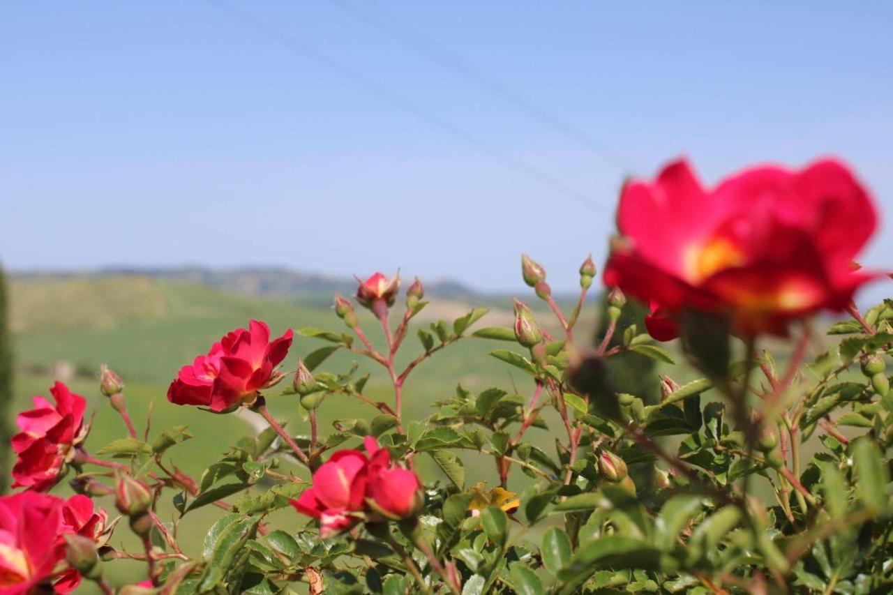 Willa Agriturismo La Paciarella Campiglia dʼOrcia Zewnętrze zdjęcie